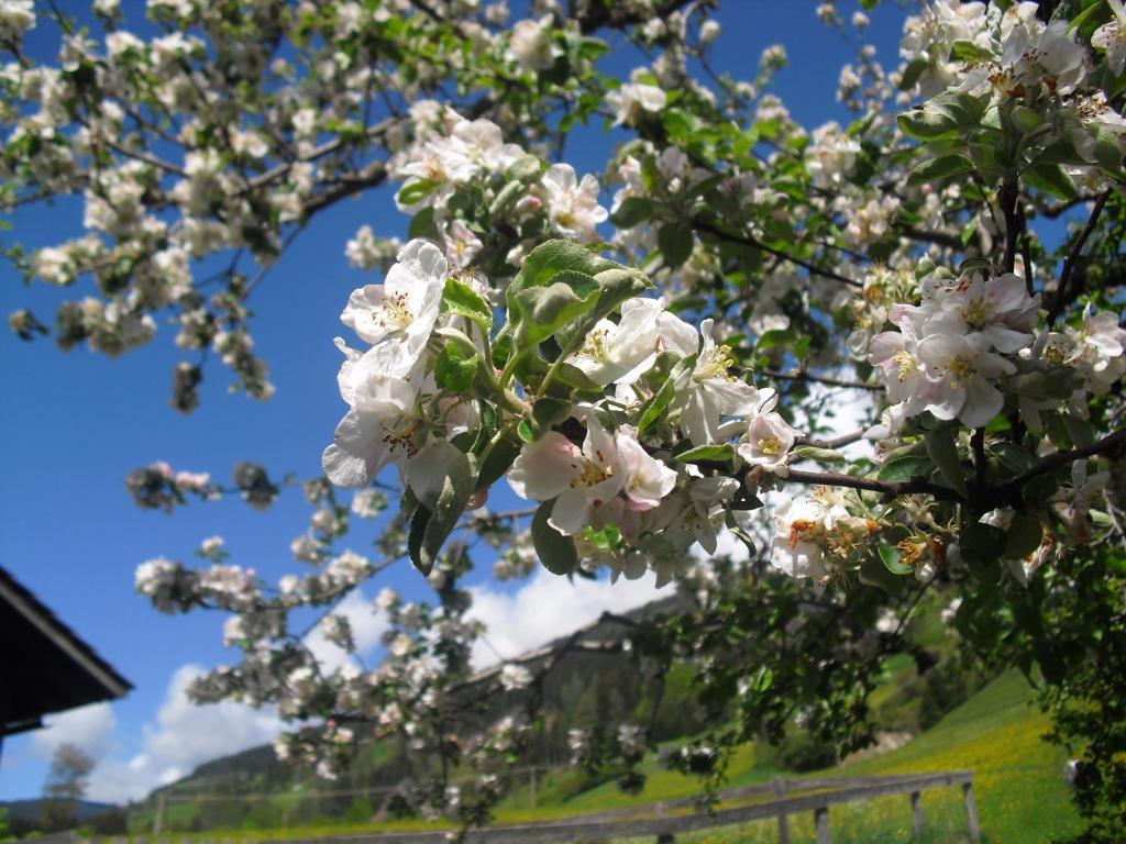 Obergarberhof * Sillian